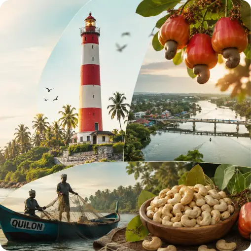 From Kollam to Your Home: The Story Behind Our Cashews