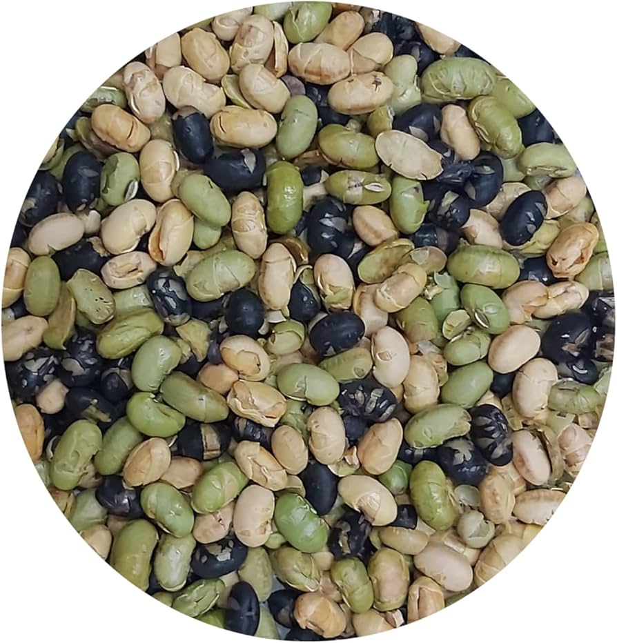 Protein Bean