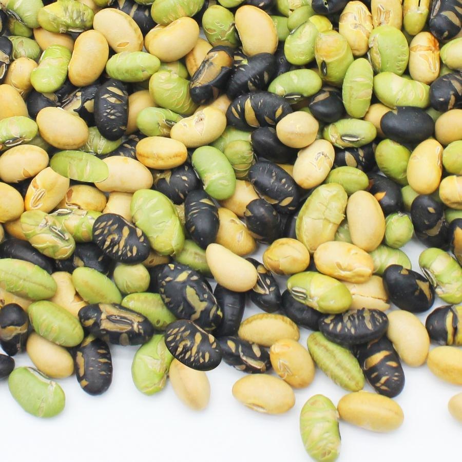 Protein Bean